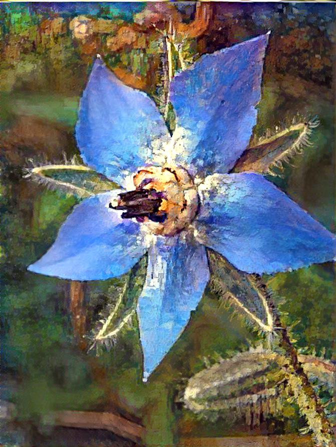  Gourgeous blue flower
