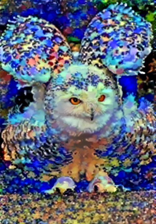 Odd Owl
