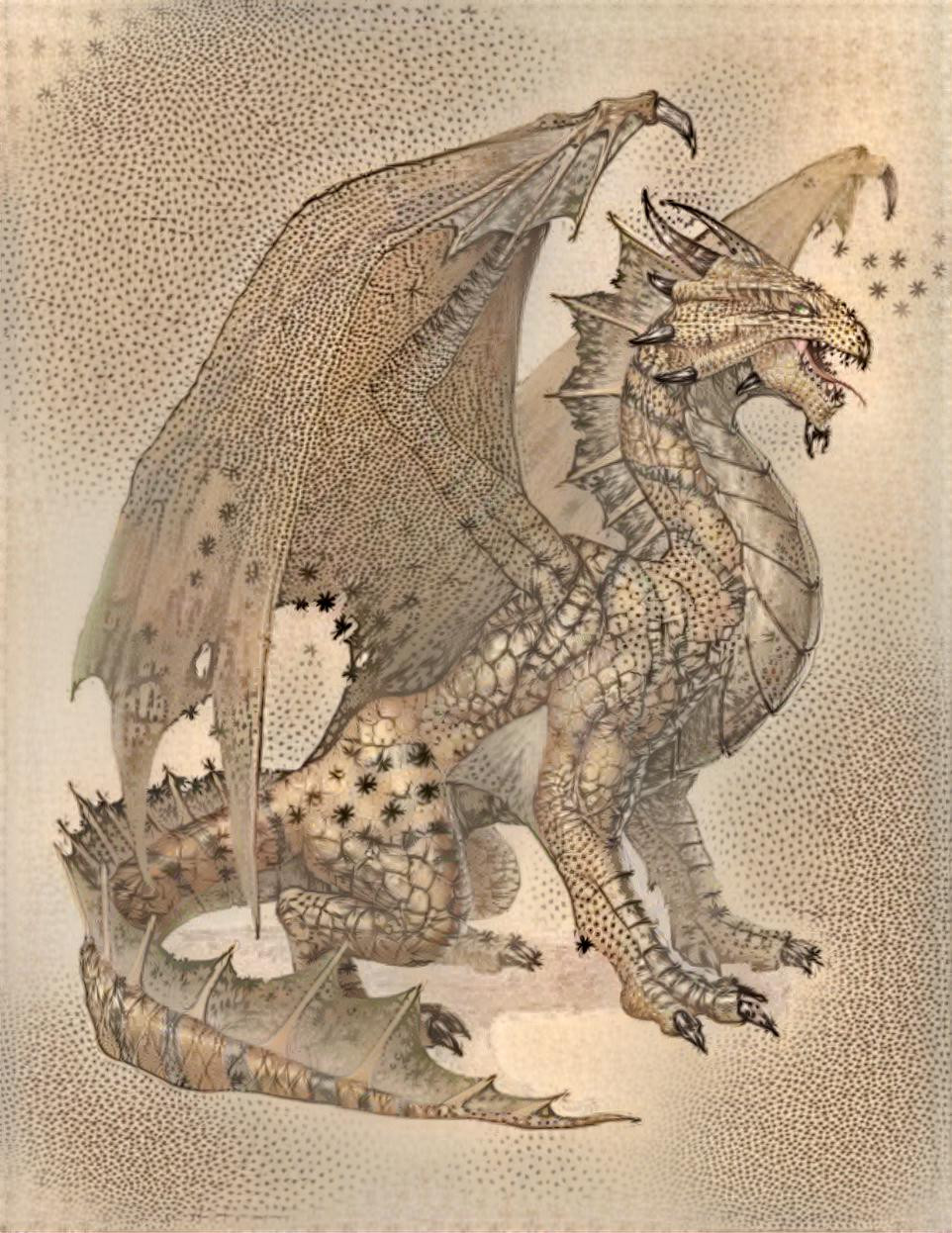 Dragon print 