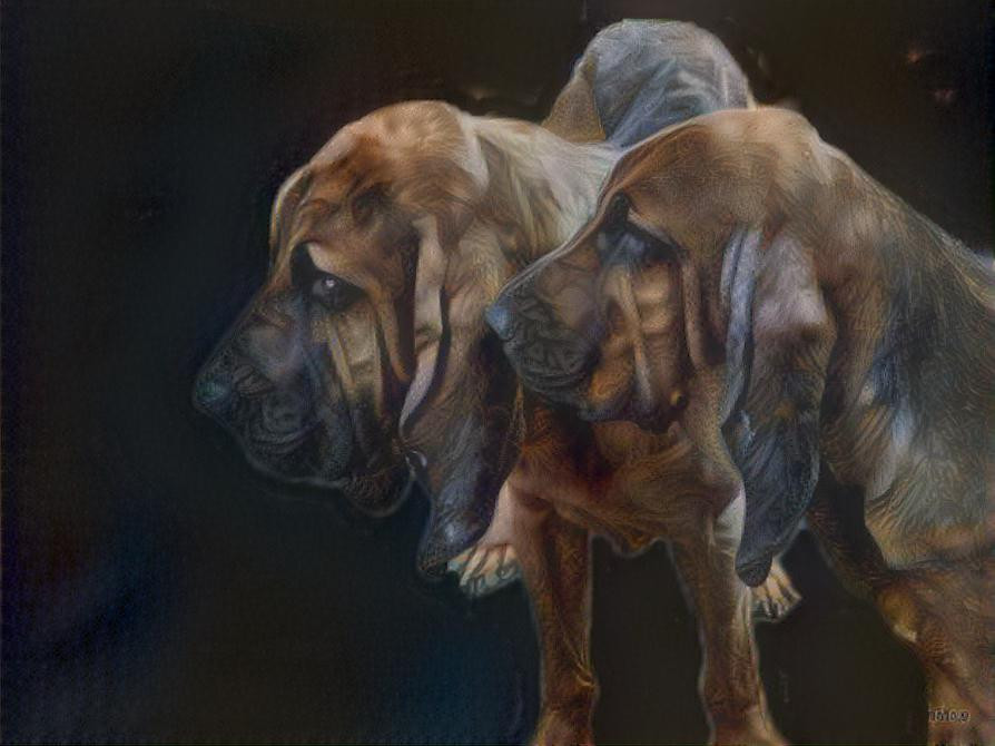 My bloodhounds: Pearleen and her son Florek