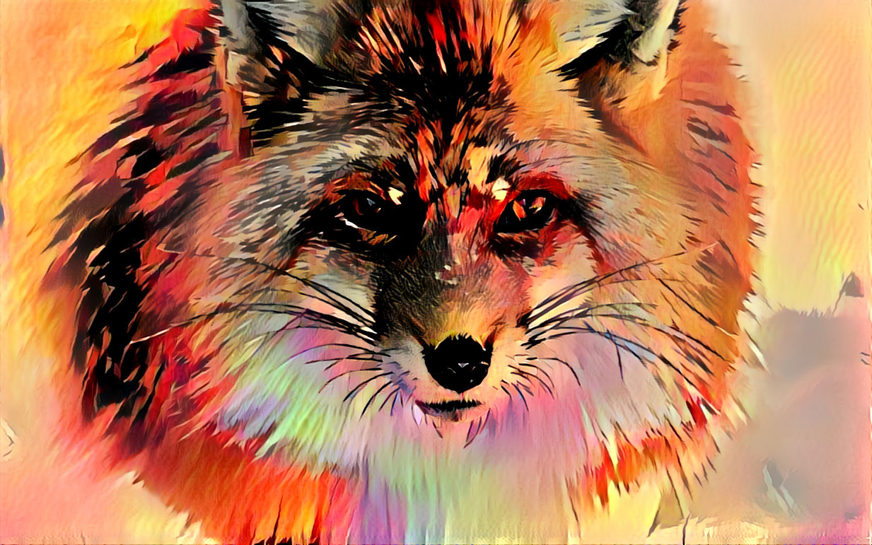 Snow-winter-fox-red-nose-1017959-wallhere.com animal-3417350_3