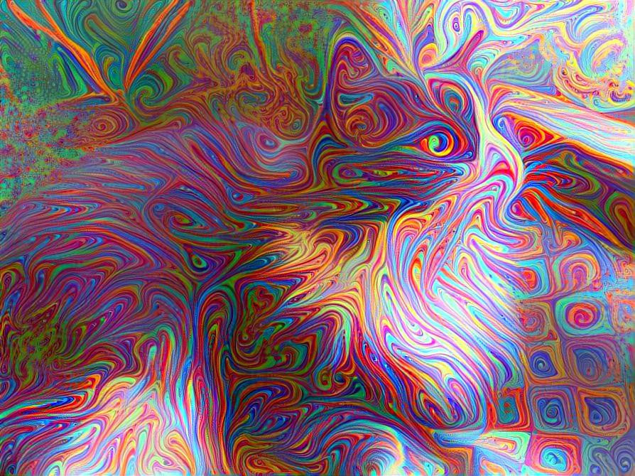 Psychedelic cat 