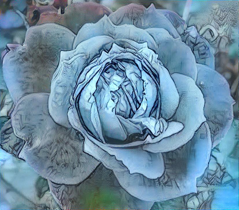 Frosted Rose
