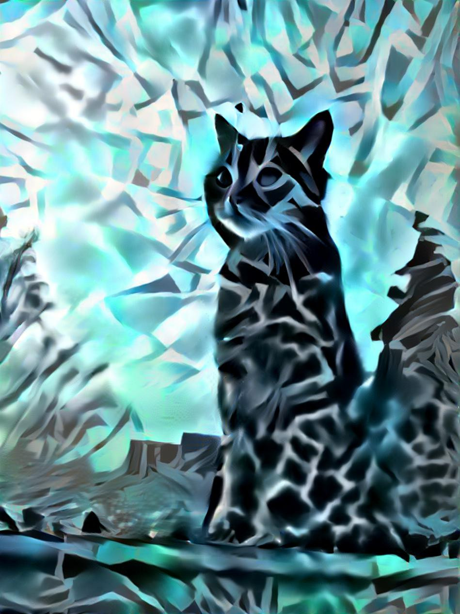 Icy Meow