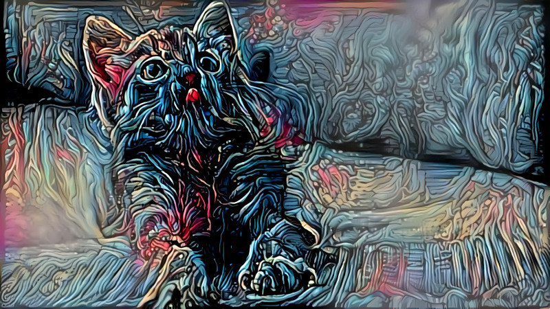 Meow of Doom