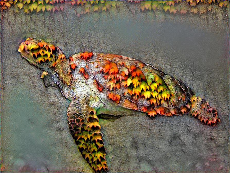 Leaves Turtle