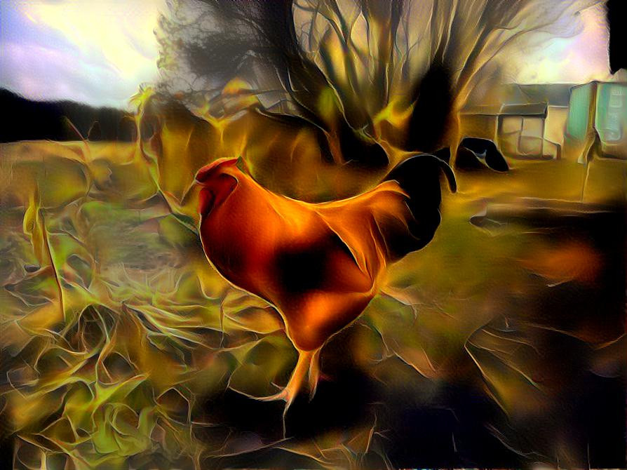 Golden rooster