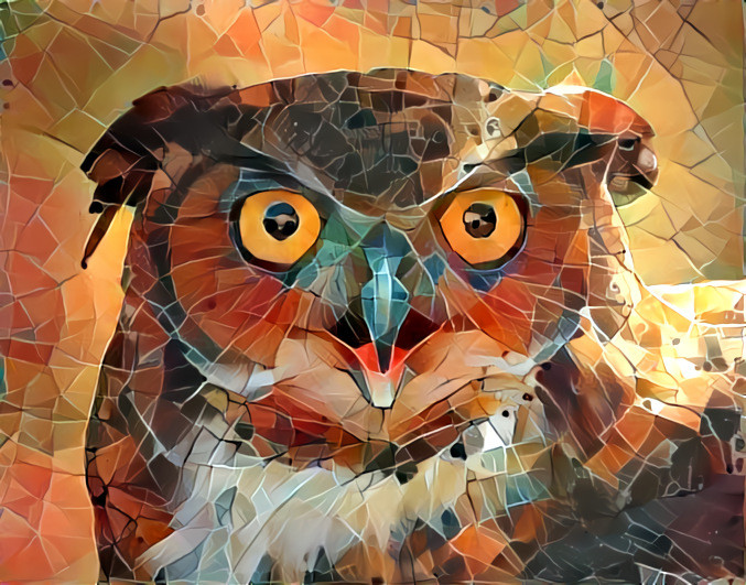 Deep Dream: Owl In Your Face