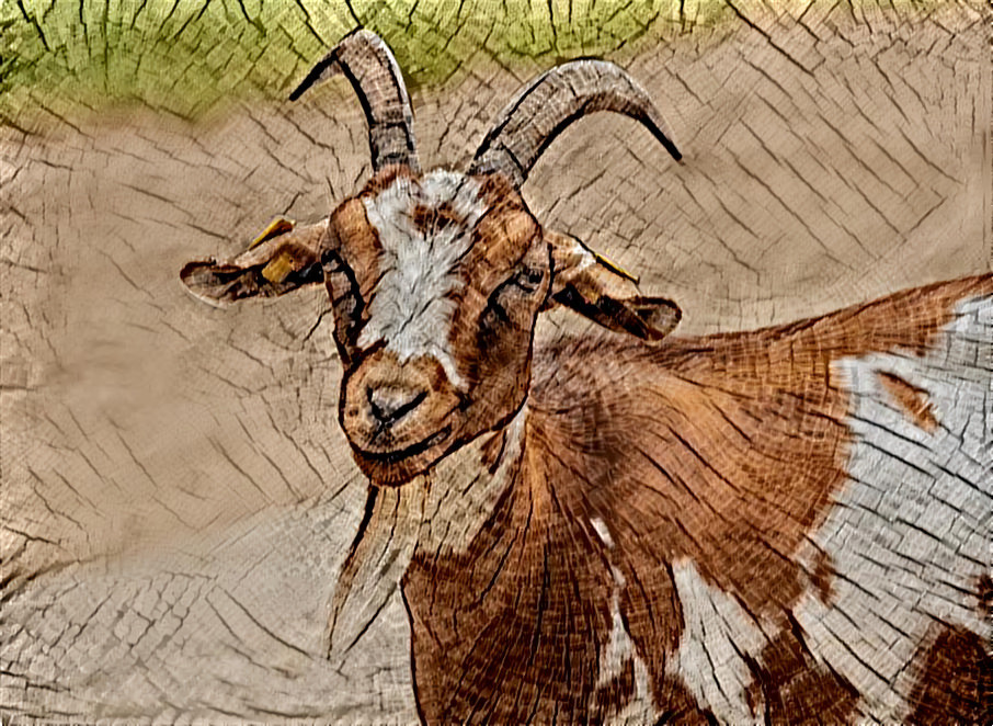 Wooden Goat