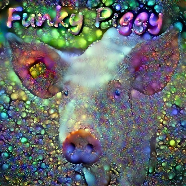 Funky Piggy