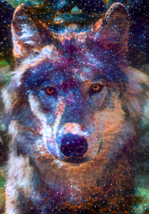 Star Wolf