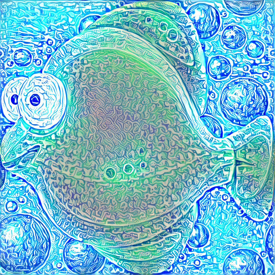Goofy Fish 