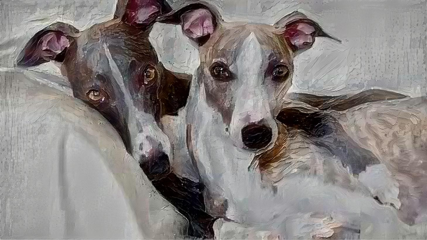 whippets