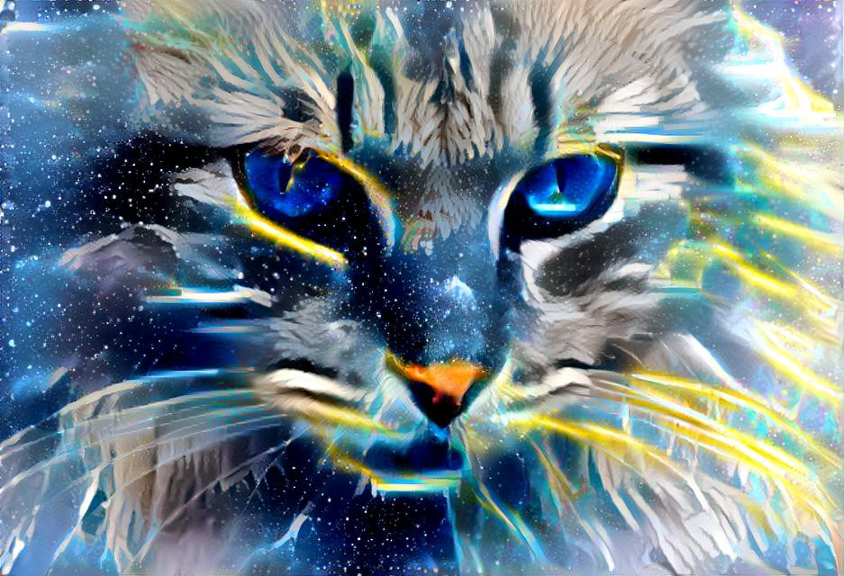 Universe Cat