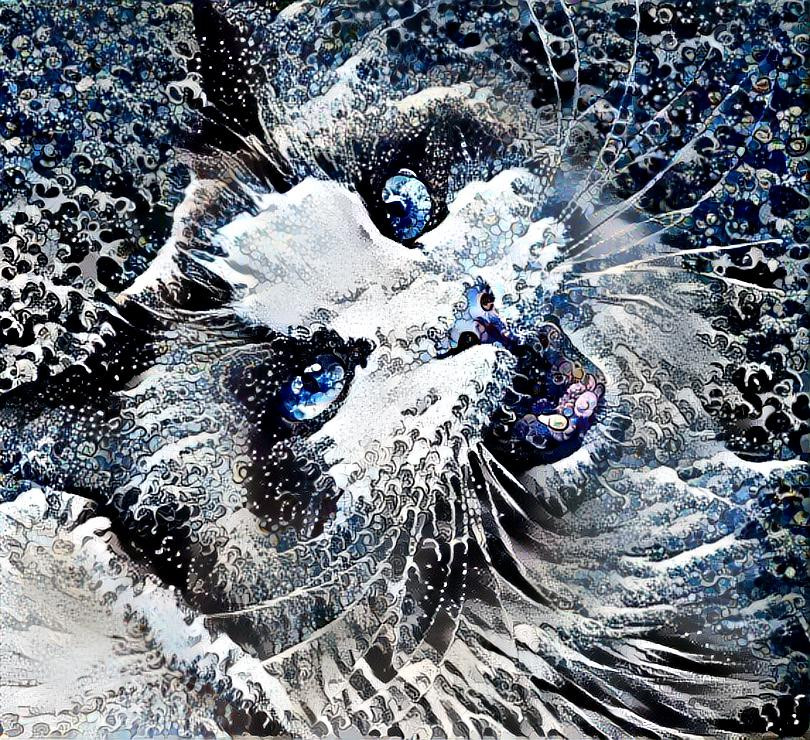 Sylverdali Gillies Cat (Mozart) From Facebook