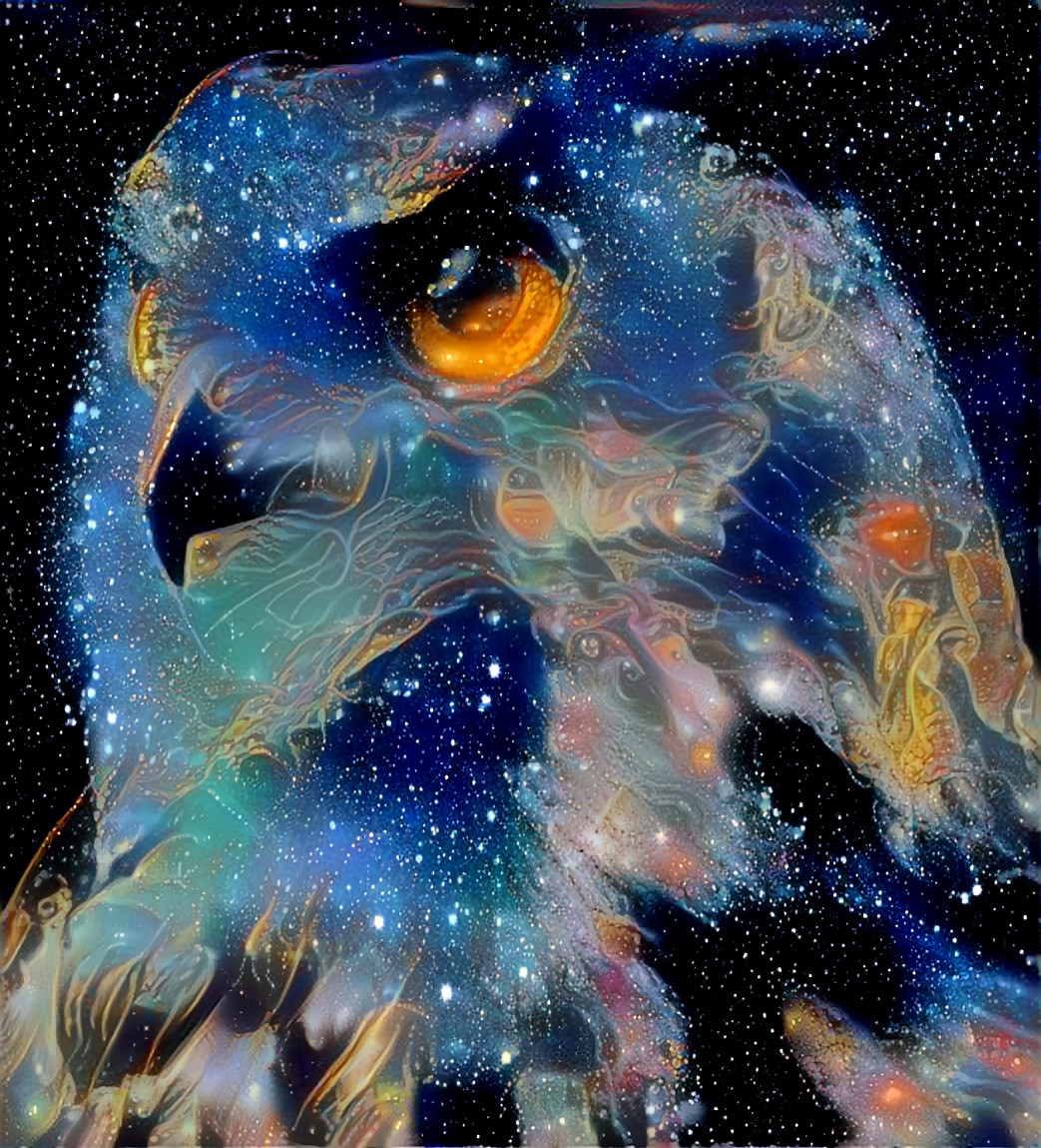 Owl of the night