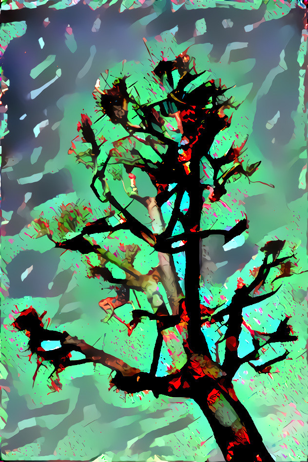 Pollarded tree 1 jeffery hodges 8