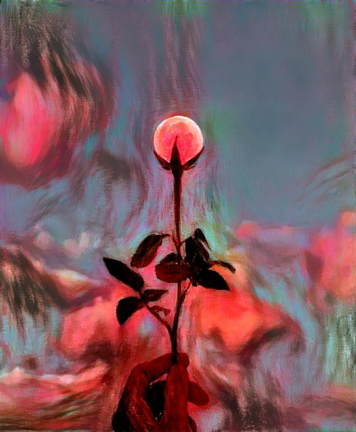 Roses over the moon