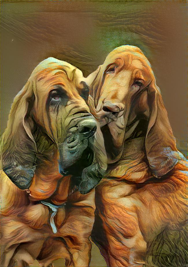 My bloodhound boys: Peppino e Rufus 
