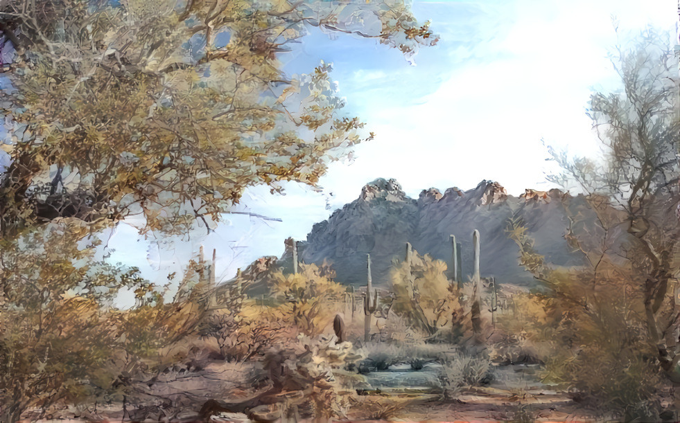 Ironwood_Forest_National_Monument,_Arizona