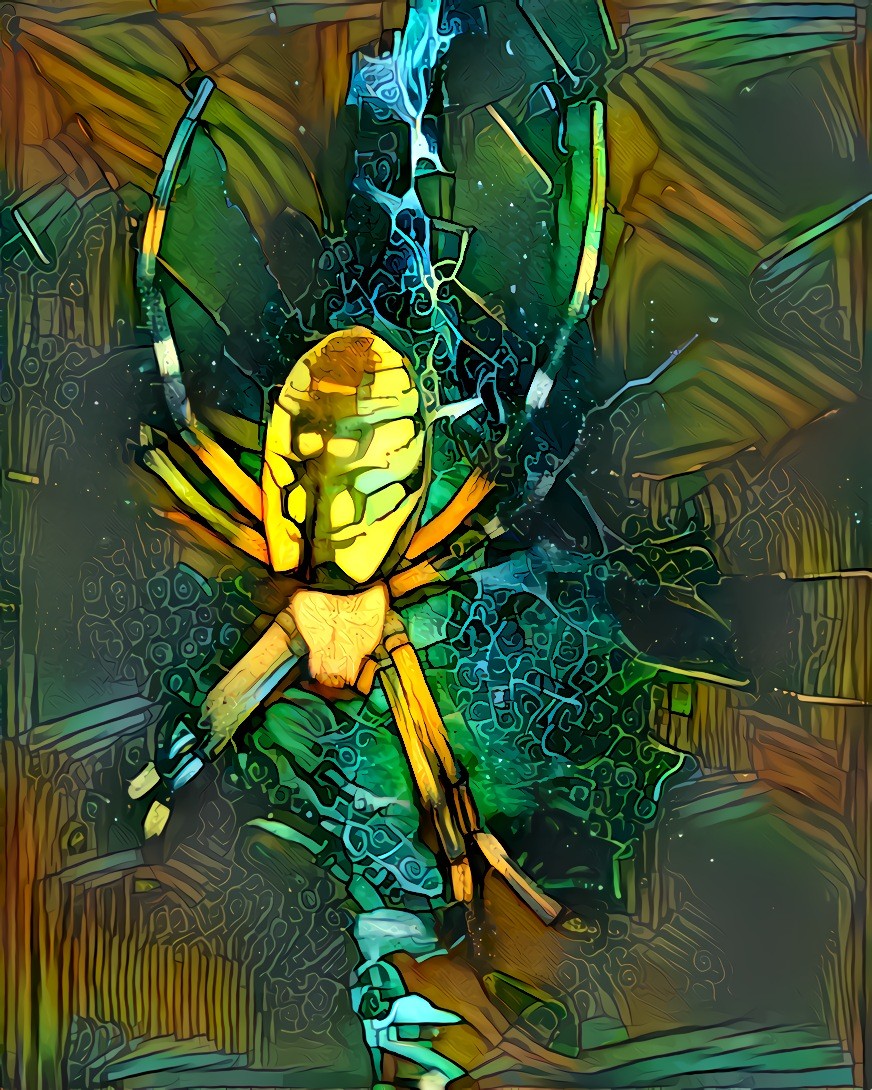 Argiope aurantia, the Garden Spider