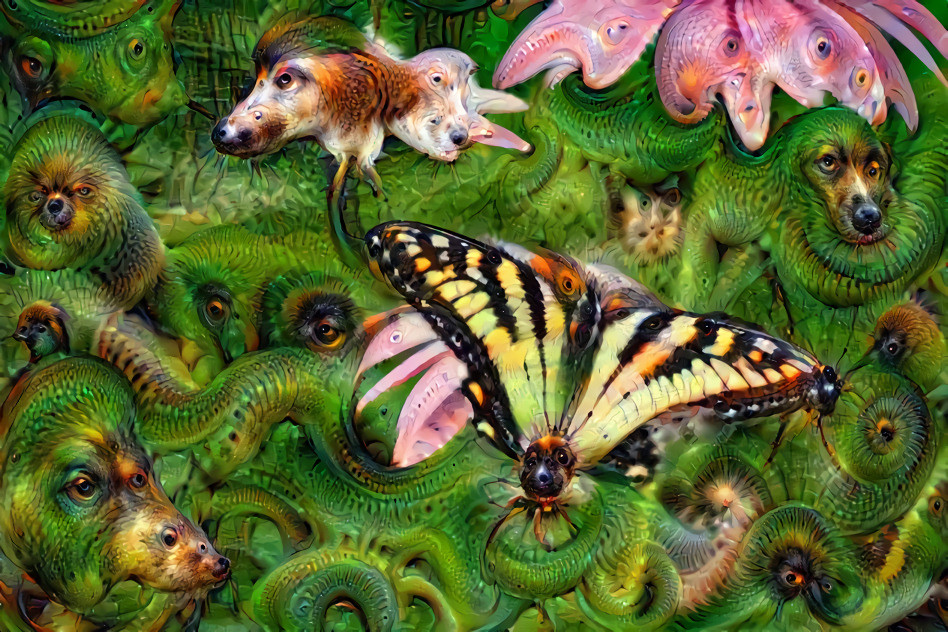 Dogs and Butterfly.
