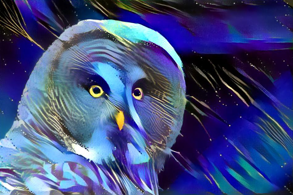Blue Owl of Eternal Sogginess