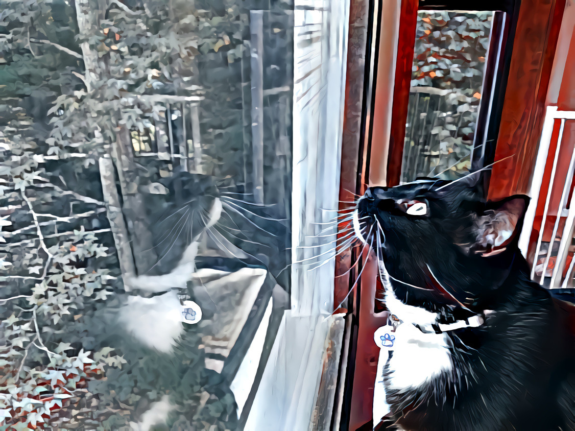 Dean bird watching. the filter I used for this was done using an app called Deep Style Editor on my phone.