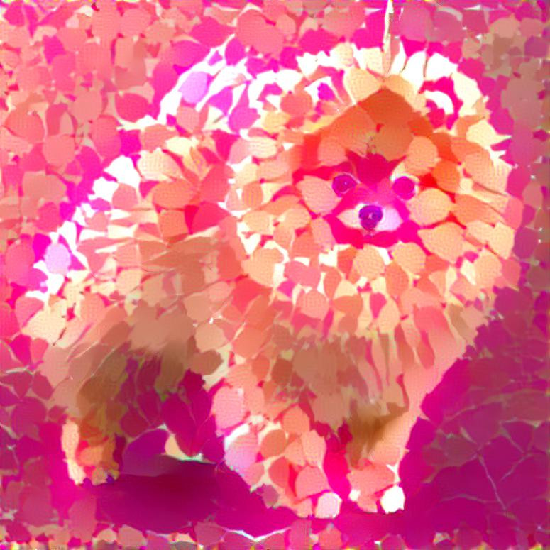 Pink Pomeranian