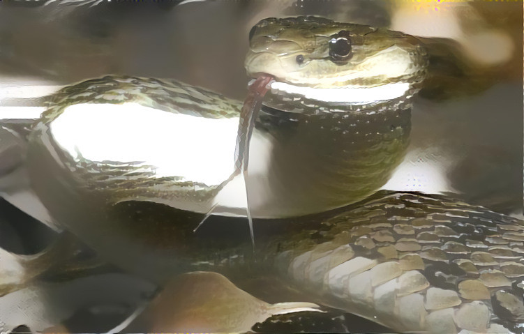 Shiny Snake 1