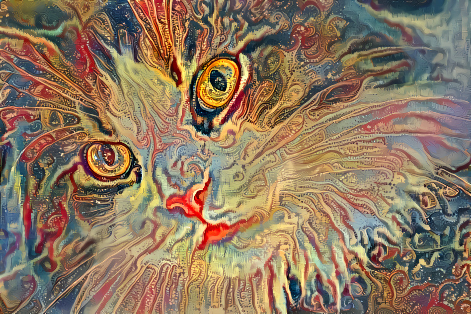 Acid Dream Cat