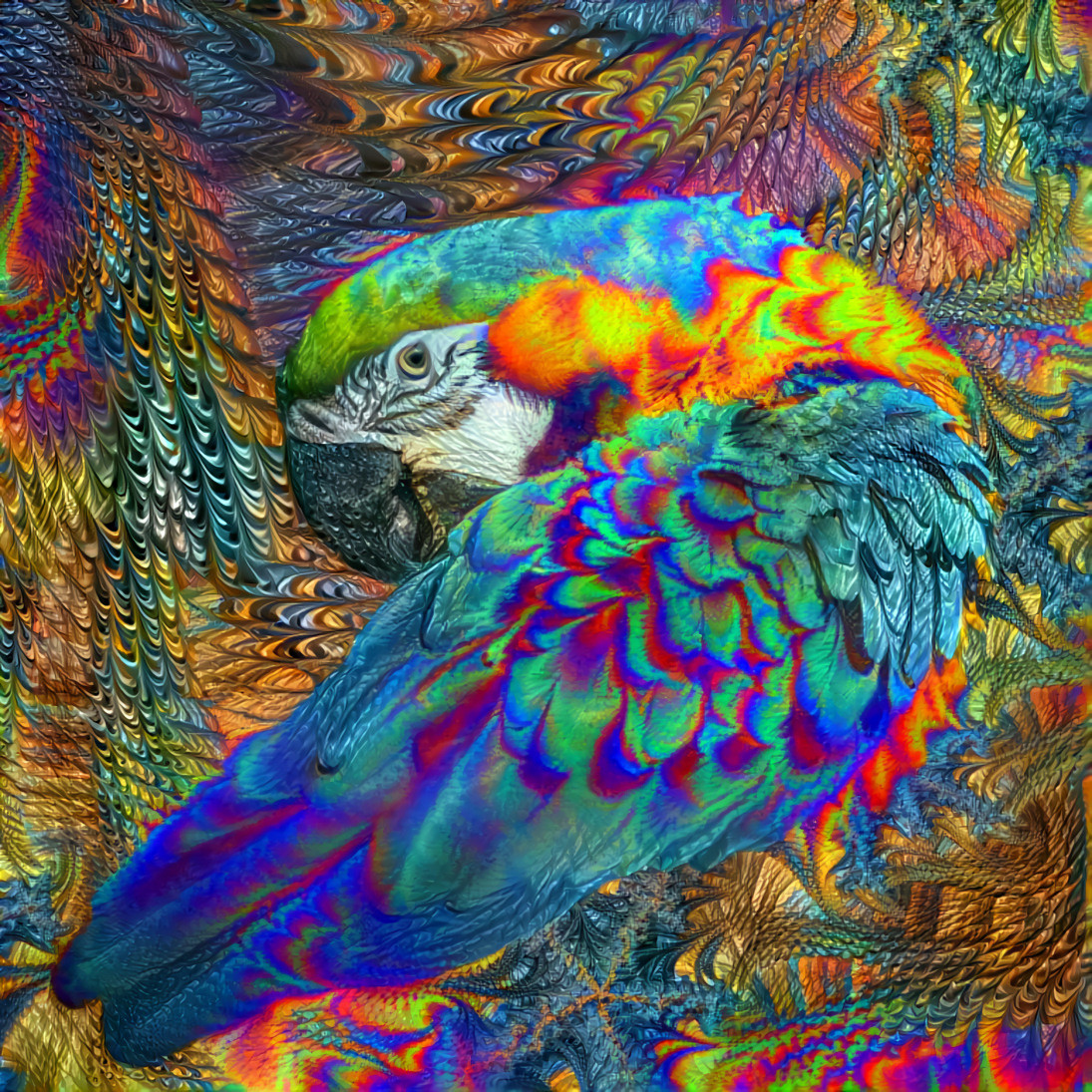 Fractal Parrot 