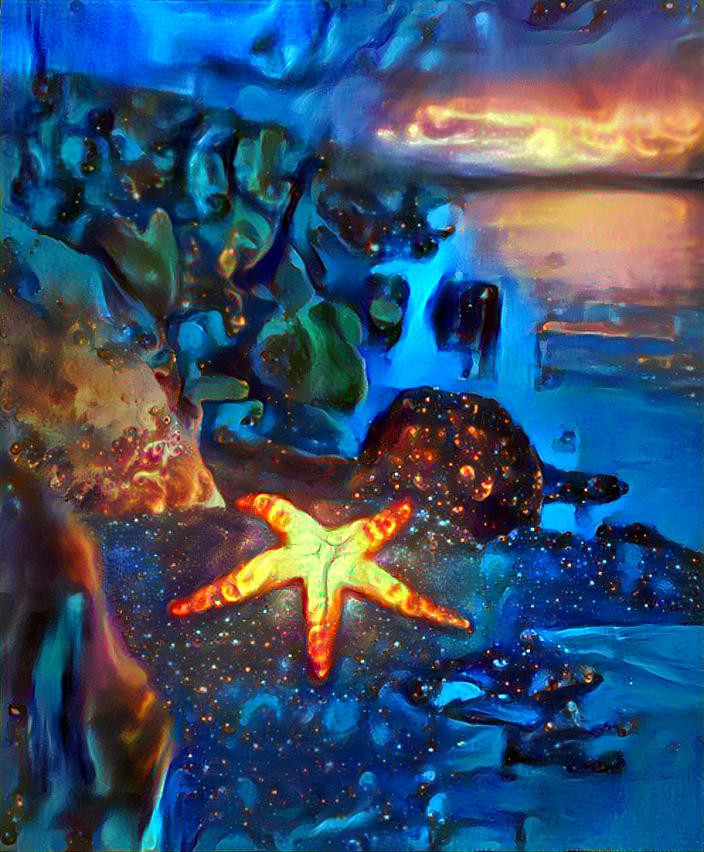 Estrella del mar