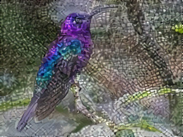 Violet Sabrewing Hummingbird (Mosaic)