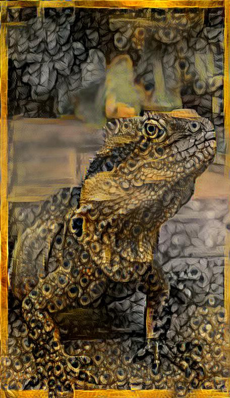 Golden Iguana
