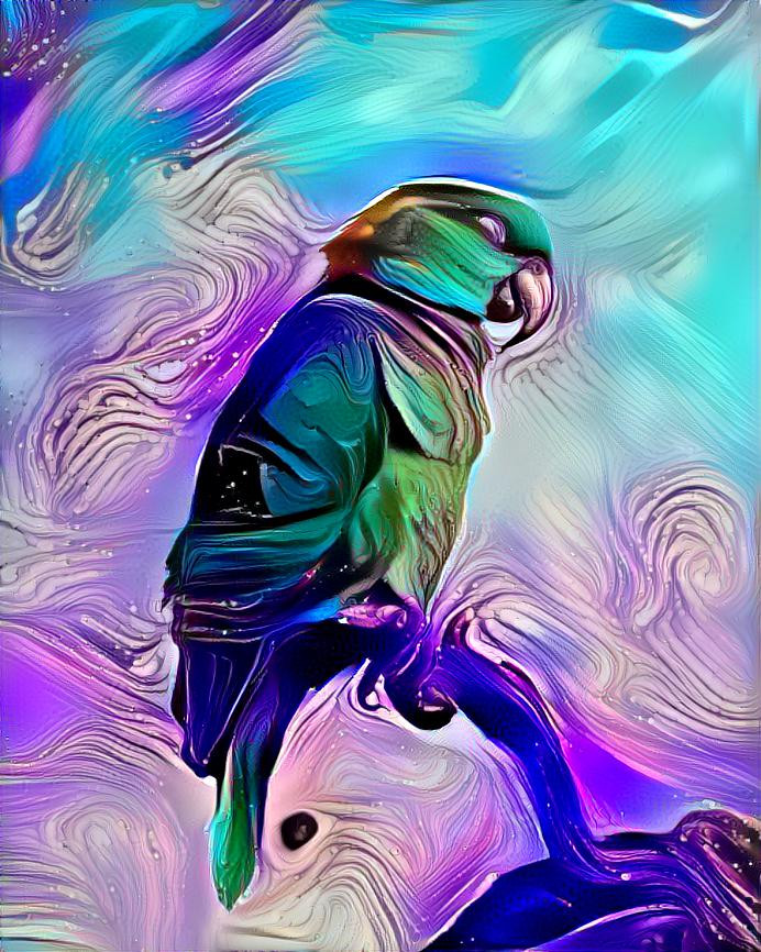 Abstract parrot