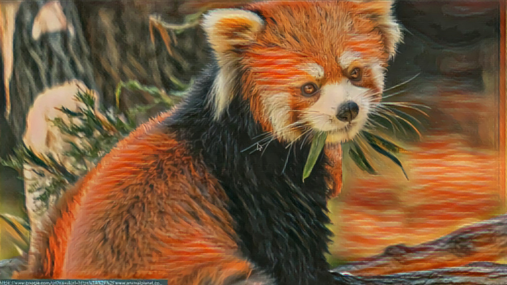 Another red panda