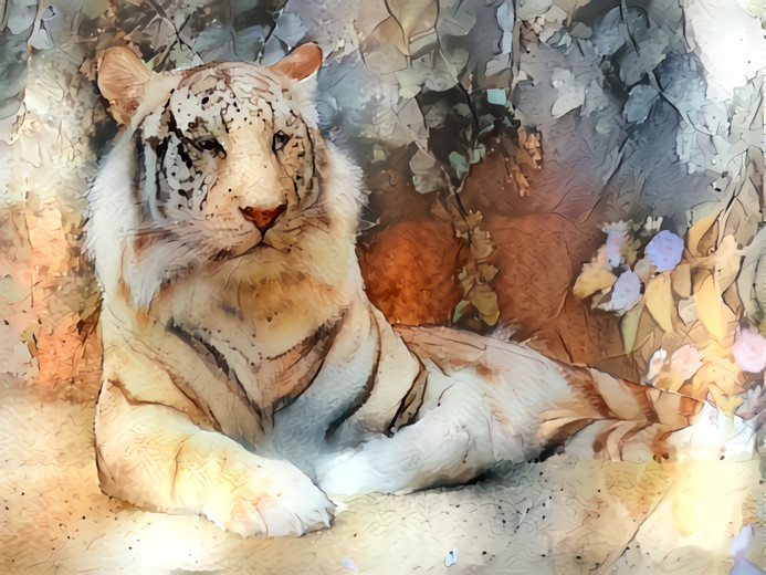 White Bengali Tiger