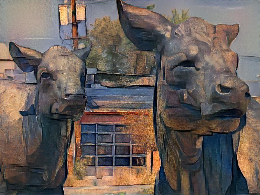 The cows of downtown Denver