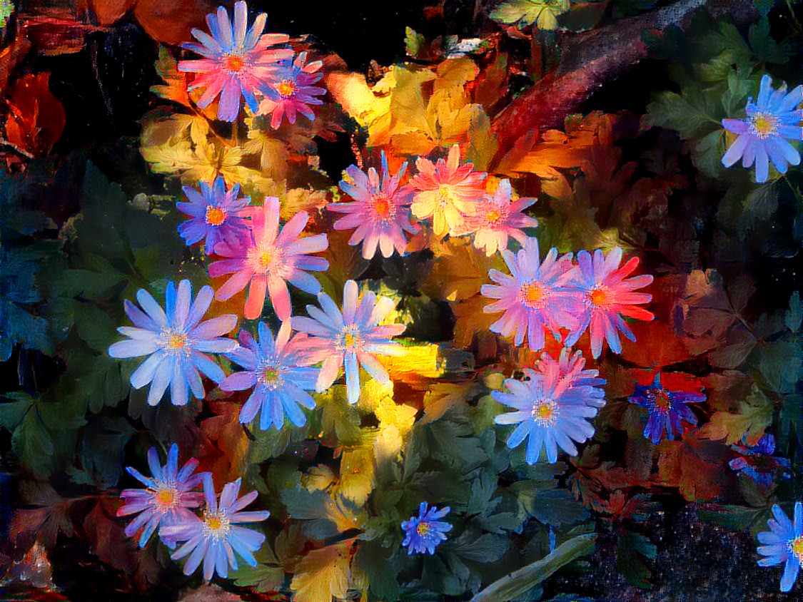 -  -  -  -  -  'DDG'd Daisies'  -  -  -  -  -  Digital art by Unreal - from own photo.
