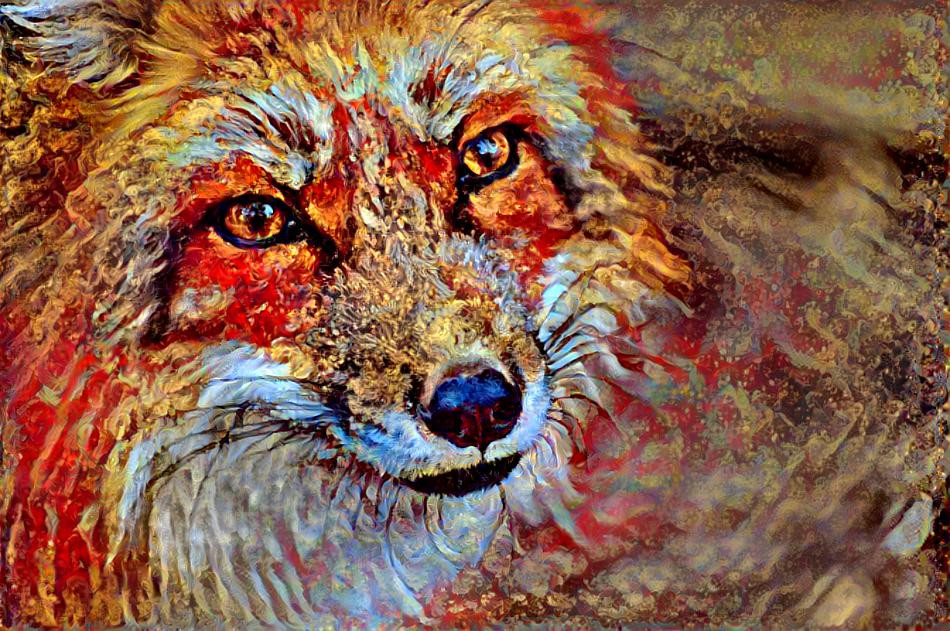 ~ Red Fox ~