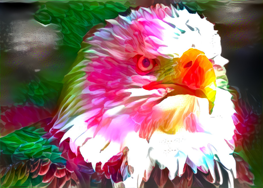 animal project - Eagle ilusion