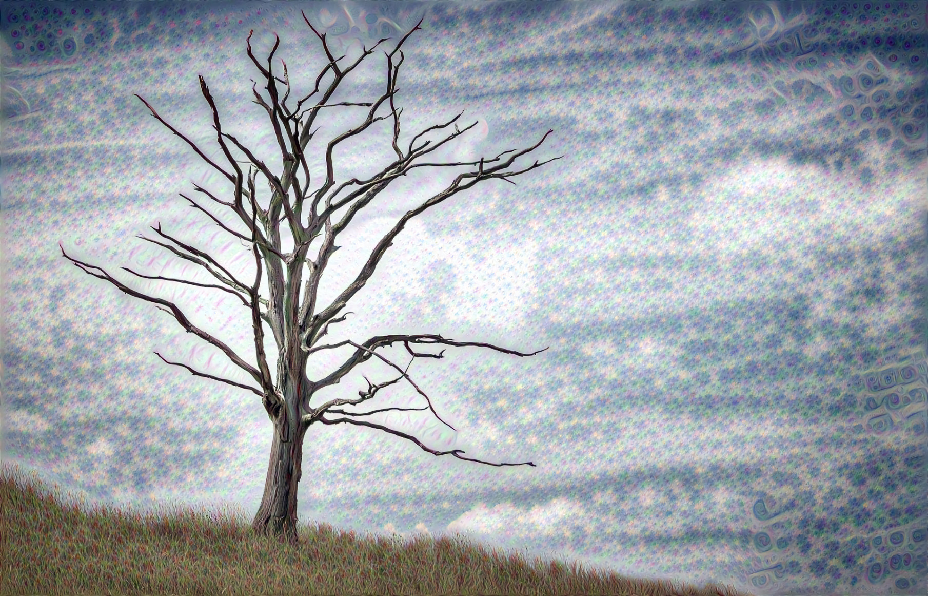 Tree on a Hill