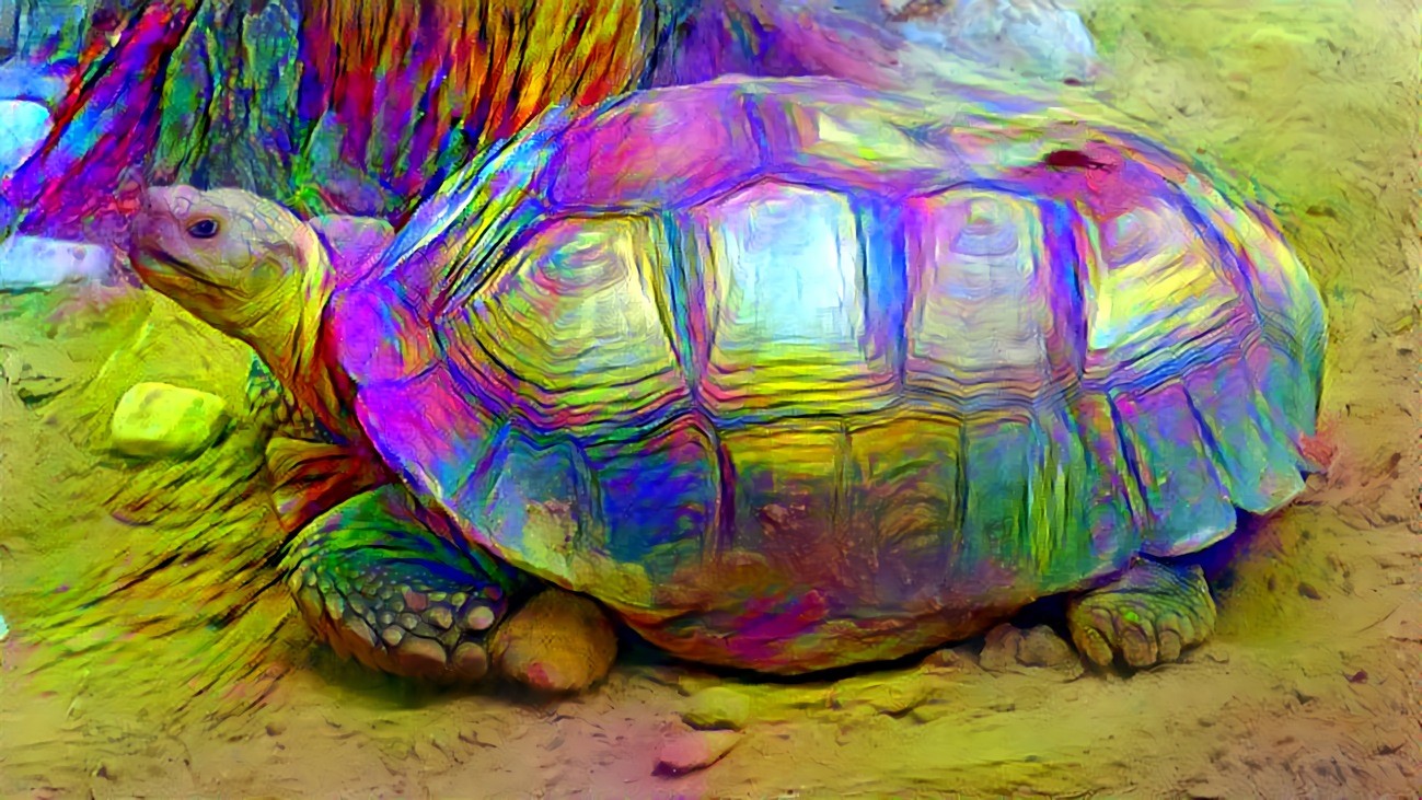 Trippy Tortoise