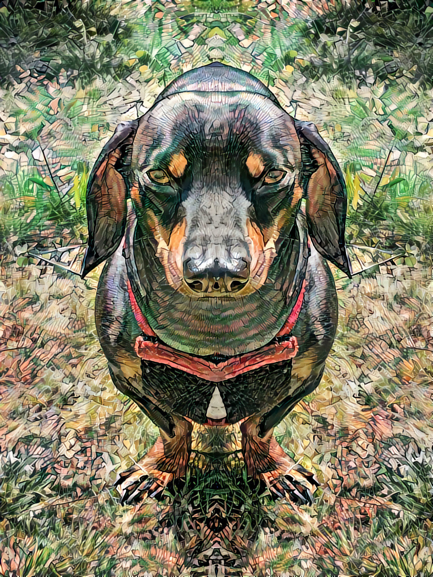 Mirrored Dachshunds I v3 - style created with Flame Painter 4 and Fractview. And Photoshop. Plus Luminar 3.