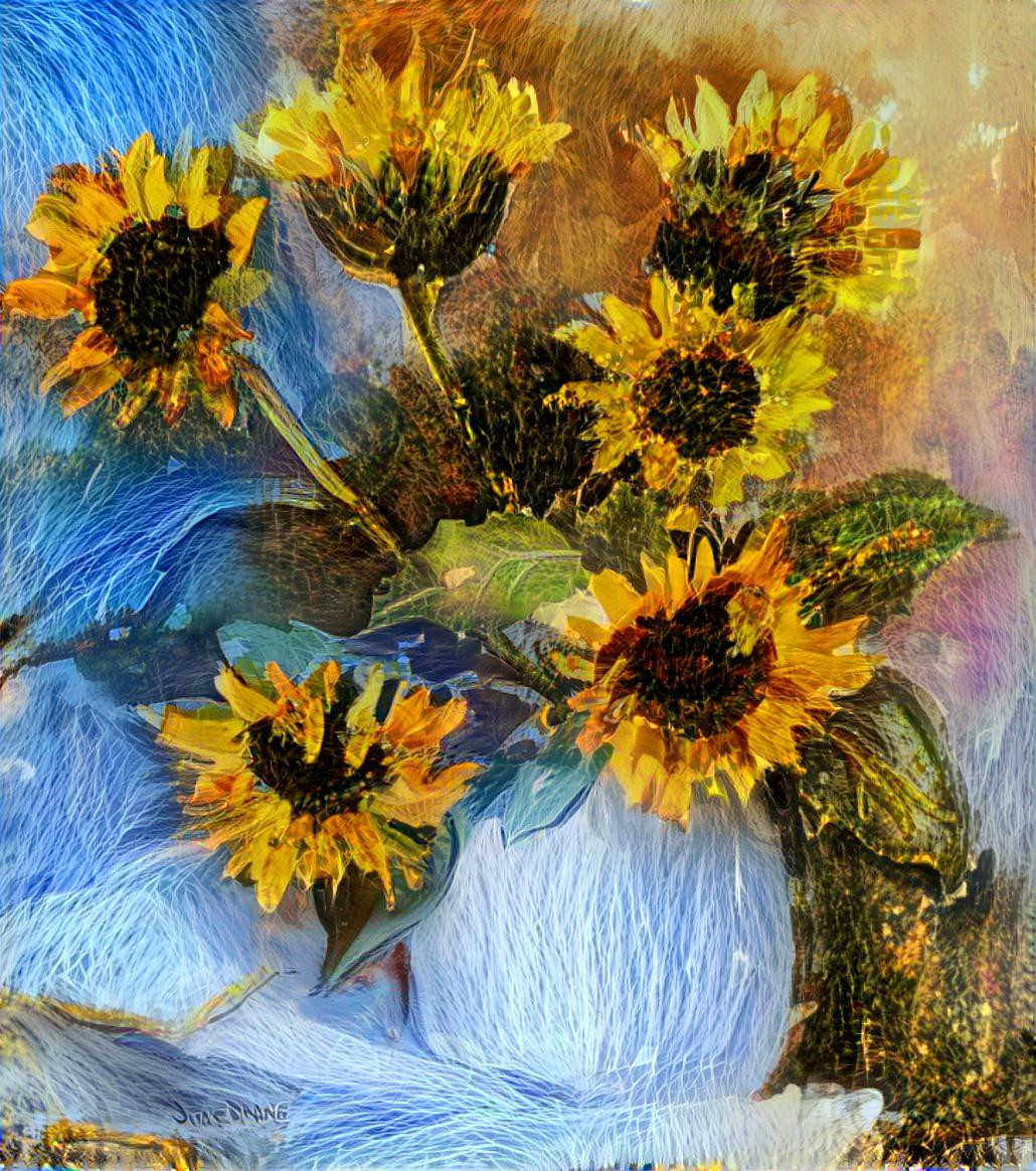 Sunflowers for Ukraine 