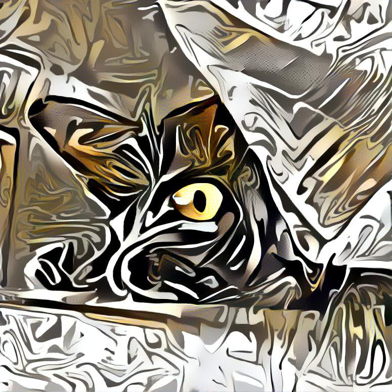 Cat swirl