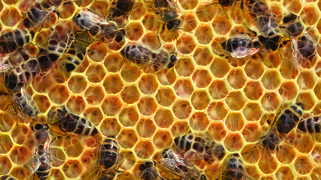 Bee 03 hexagon