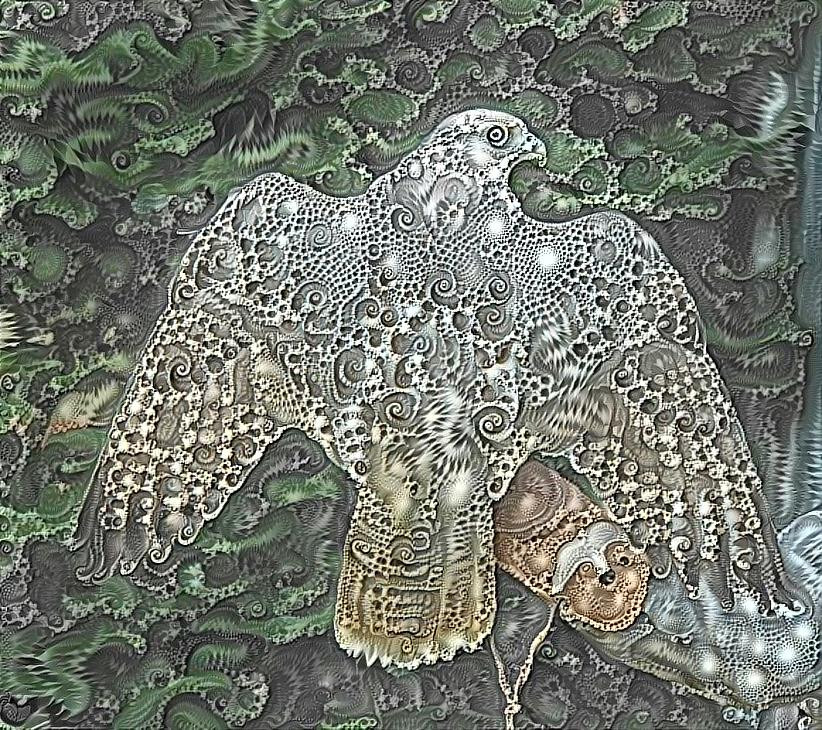 Lace Falcon