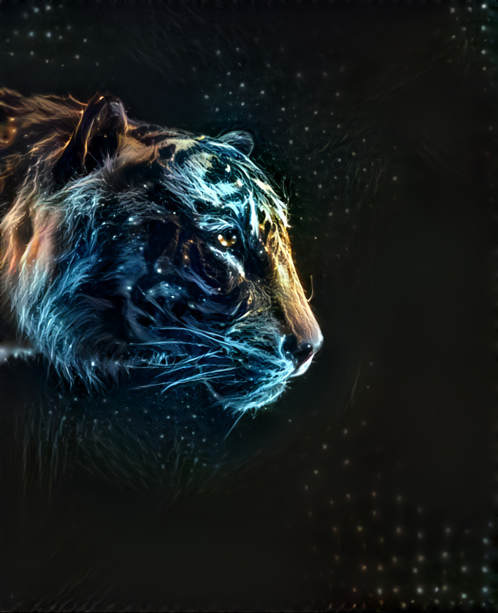 animal project - Tigre ilusion